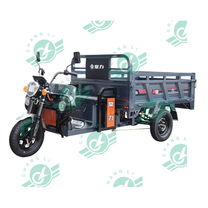 Chang Li Hot Selling Three Wheels Electric Bike Adult Electric Tricycle Cargo with 1 Seats for Sale