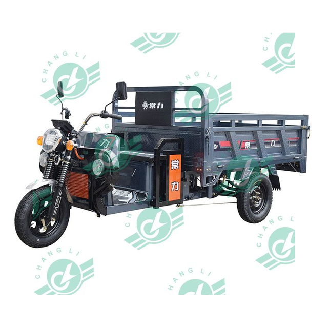 Chang Li Hot Selling Three Wheels Electric Bike Adult Electric Tricycle Cargo with 1 Seats for Sale