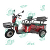 Chang Li Seat Folding Leisure Electric Cargo Tricycle for 2 Adults