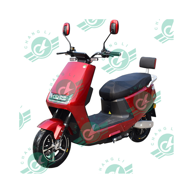 Professional Team Design Digital Speedometer Electric Adult Scooter Street Legal E-Bike